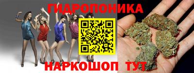 трава Сланцы