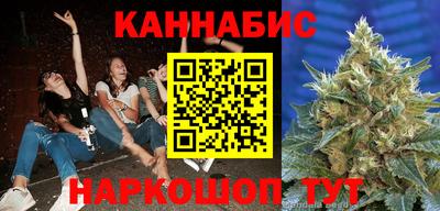 трава Сланцы