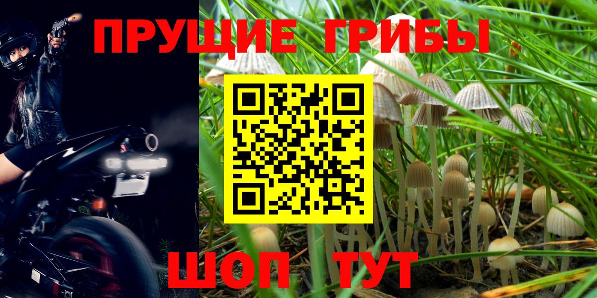 Рязань  даркнет сайт  Вход с VPN  Галлюциногенные грибы Magic Shrooms 